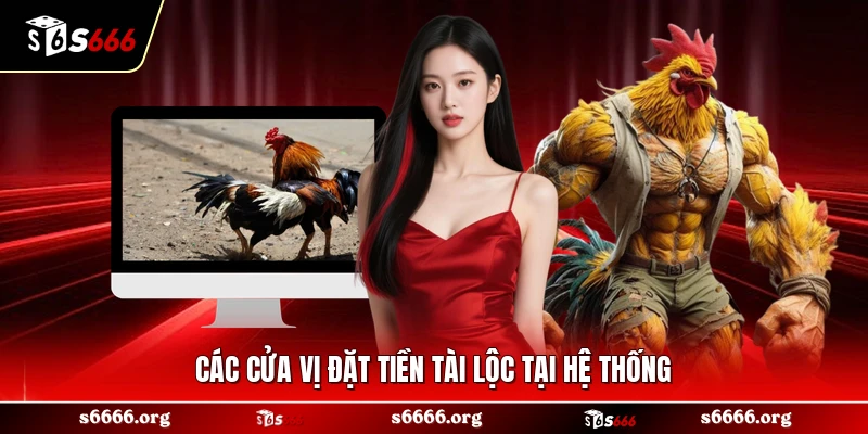 Các cửa vị đặt tiền tài lộc tại hệ thống