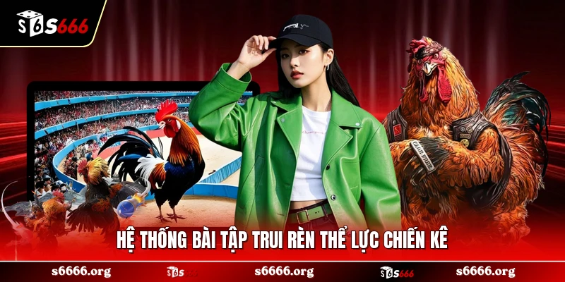 Hệ thống bài tập trui rèn thể lực chiến kê