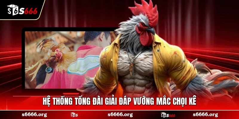 Hệ thống tổng đài giải đáp vướng mắc chọi kê