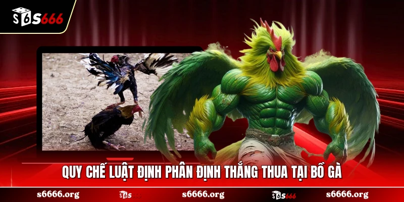 Quy chế luật định phân định thắng thua tại bồ gà