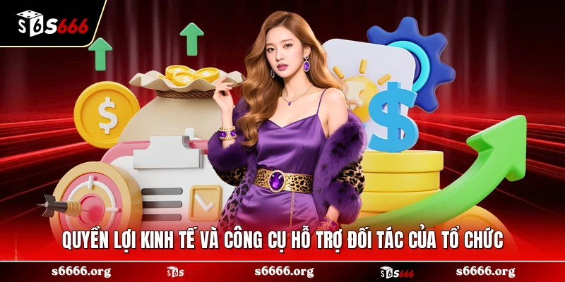 Quyền lợi kinh tế và công cụ hỗ trợ đối tác của tổ chức 